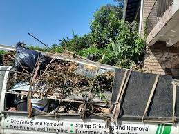 Shed Removal in Lepanto, AR